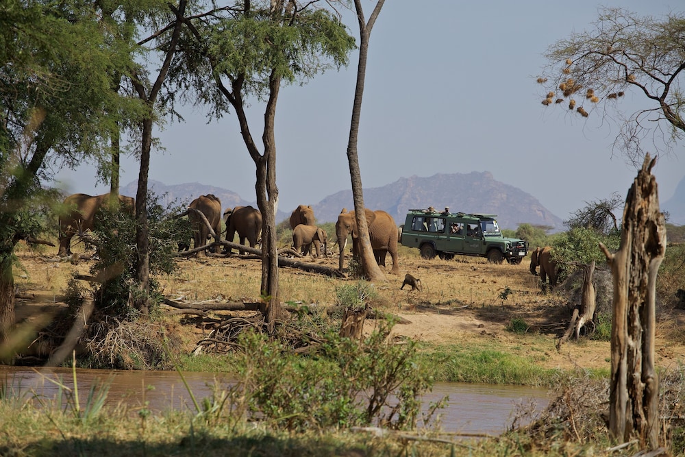 Ashnil Samburu Camp 32/50