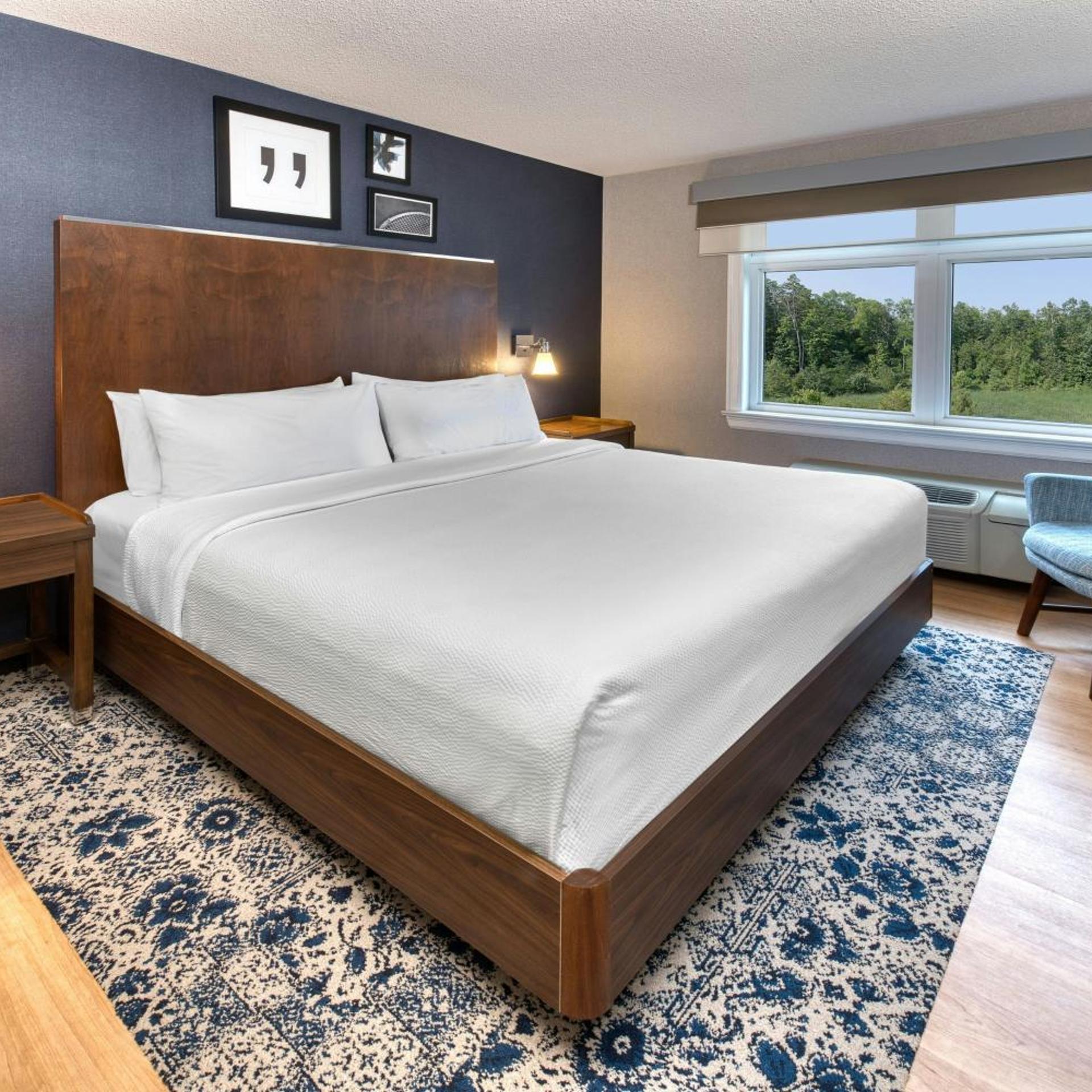 1 Bedroom, Suite, King Bed, Sofa, Next to Elevator