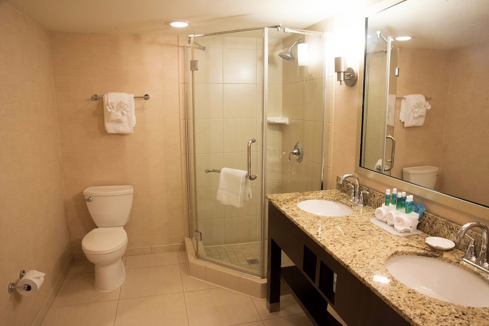 Holiday Inn Express Baltimore-Bwi Airport West 65/70