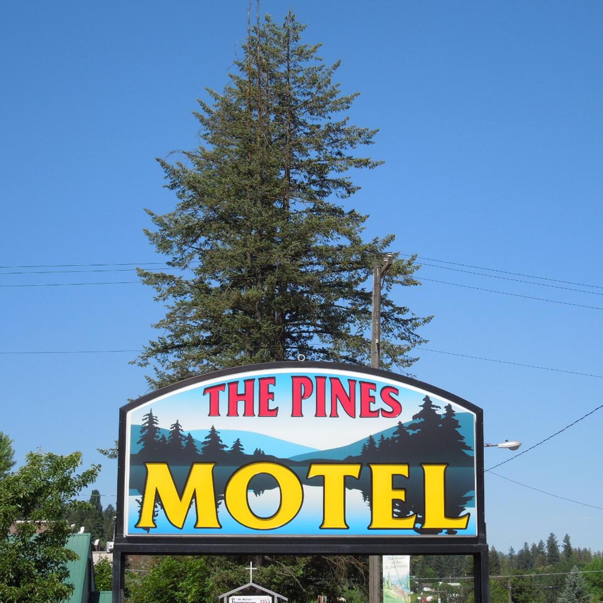 The Pines Motel 6/26