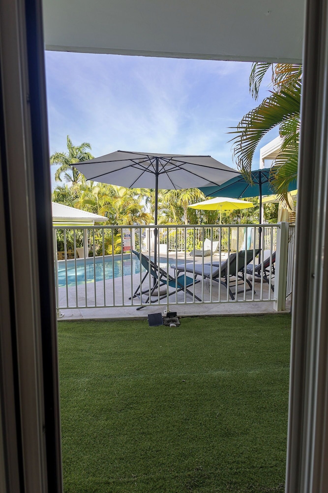Majesty Palm 44/46