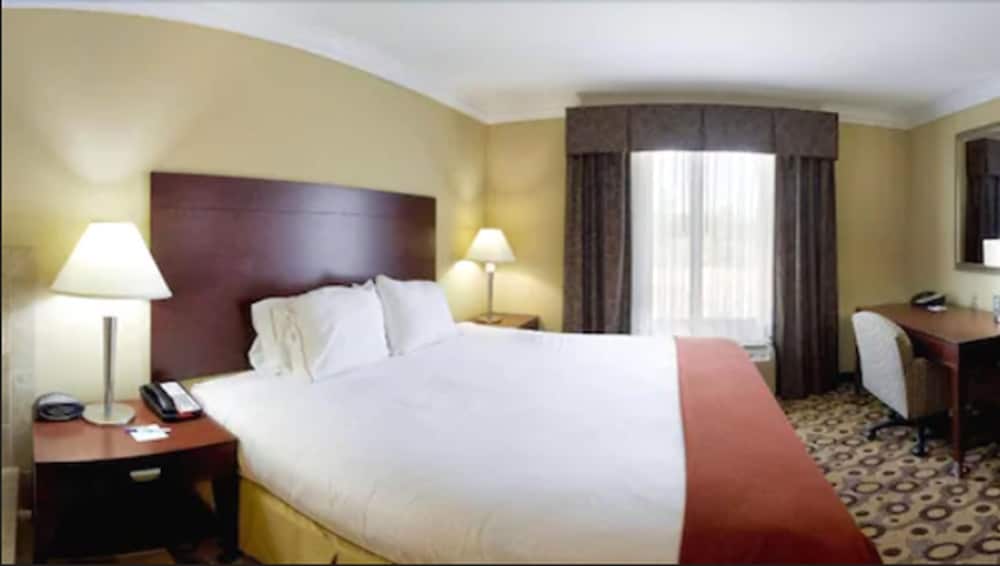 Holiday Inn Express Hotel And Suites Macon West 17/63