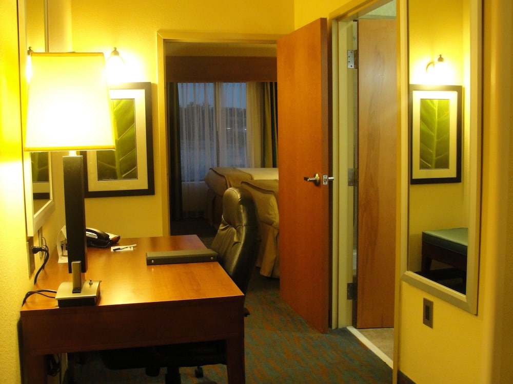 Holiday Inn Express Hotel Suites Atlanta East Lithonia 29/66