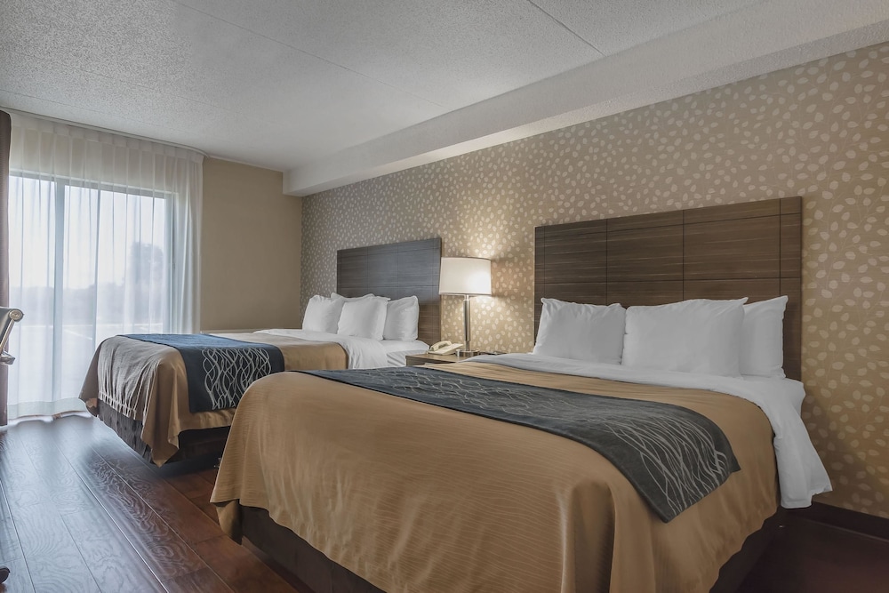 Comfort Inn Levis 10/33