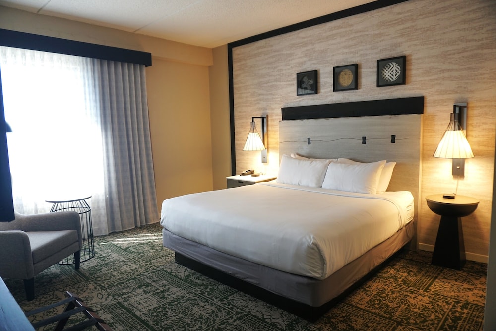 Room, Queen Bed