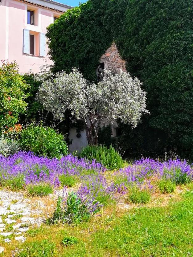 Hotel La Bastide Des Monges 43/50