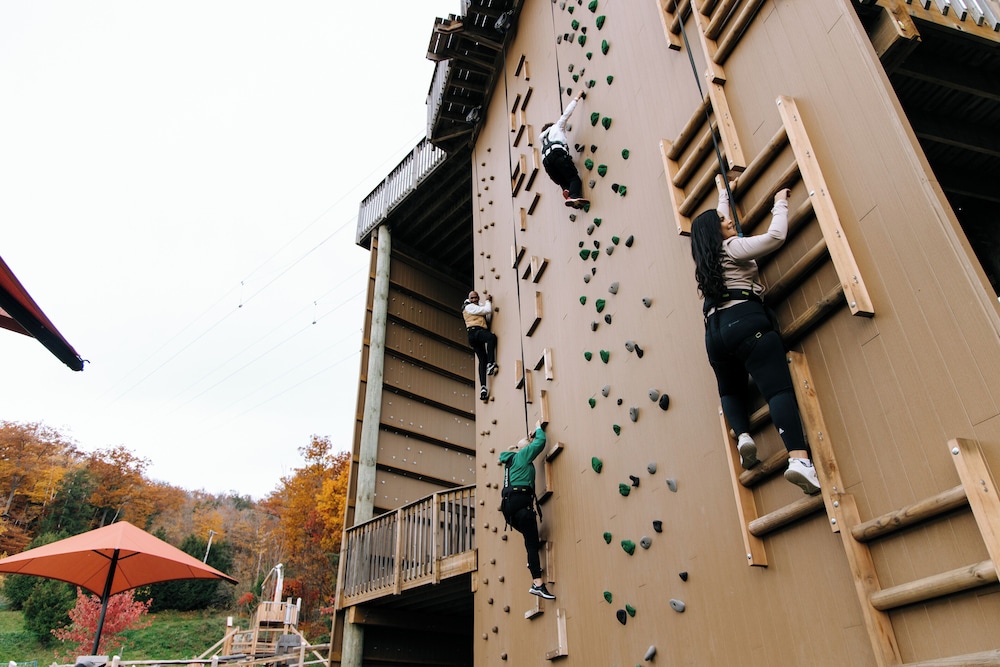 BLUE MOUNTAIN INN 1/50