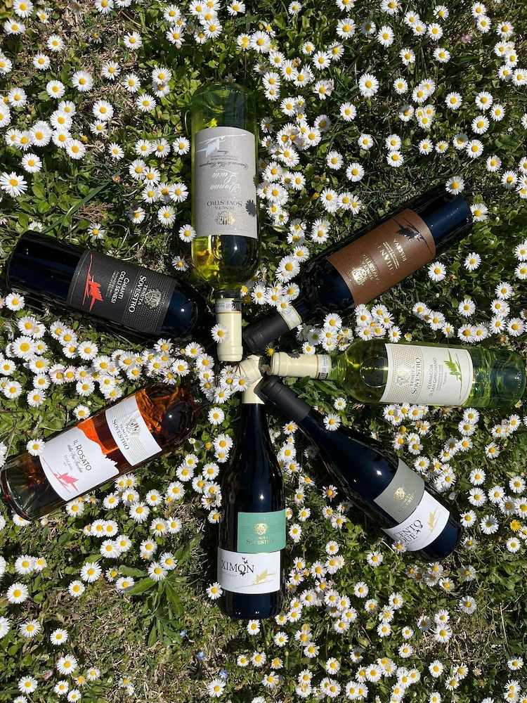 Tenuta Sovestro 28/50