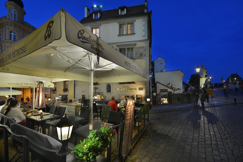 U Tri Pstrosu Hotel 5/50