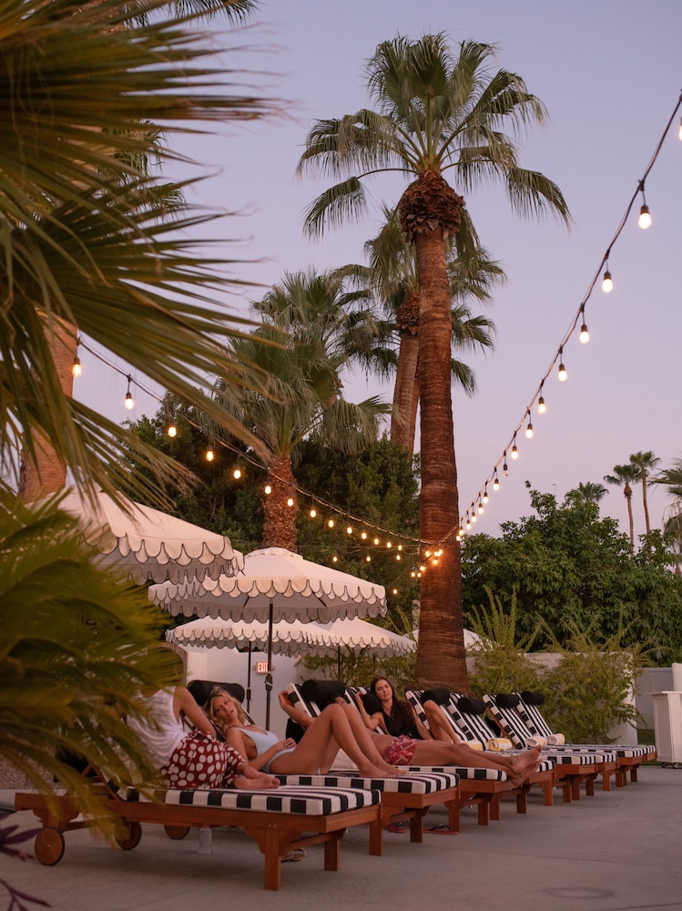 Dive Palm Springs 40/50