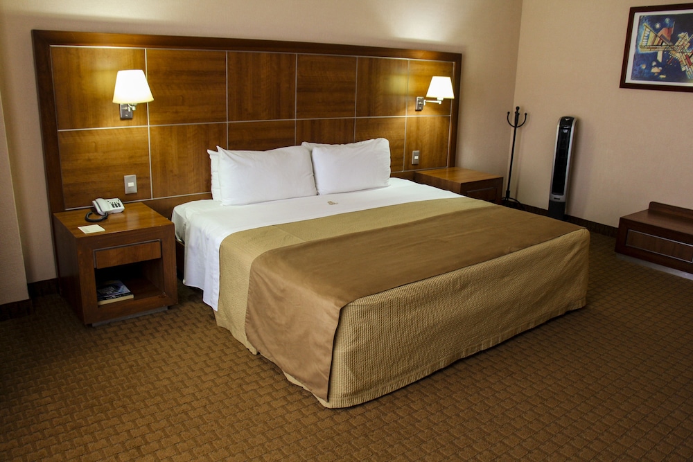 Hotel Soleil Business Class Celaya 10/49
