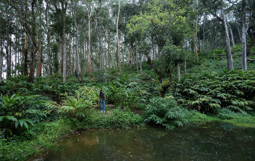 FORT MUNNAR. 47/54
