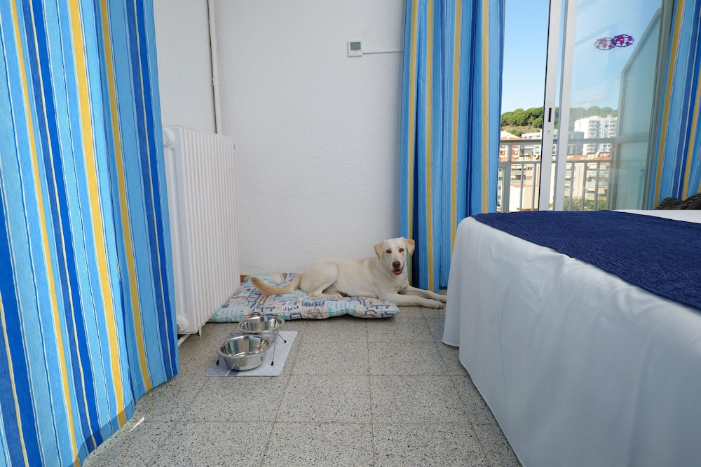 Hotel Internacional Calella 37/73