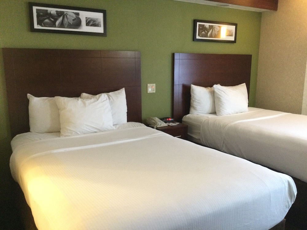 Baymont By Wyndham Flat Rock 23/49