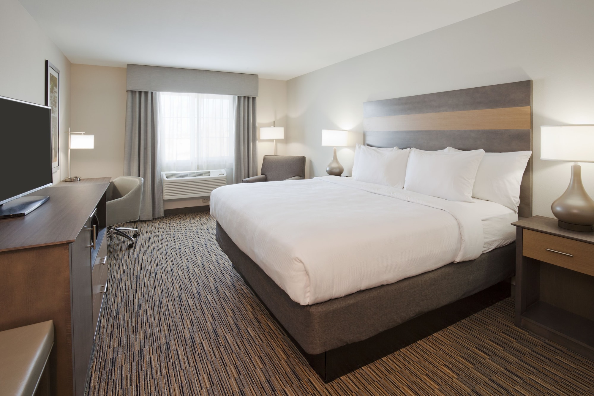 Suite, King Bed