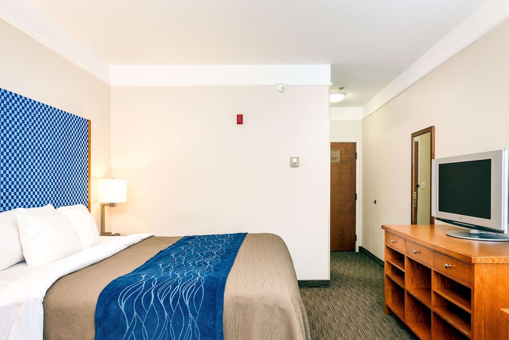 Spark by Hilton Savannah Airport 21/46