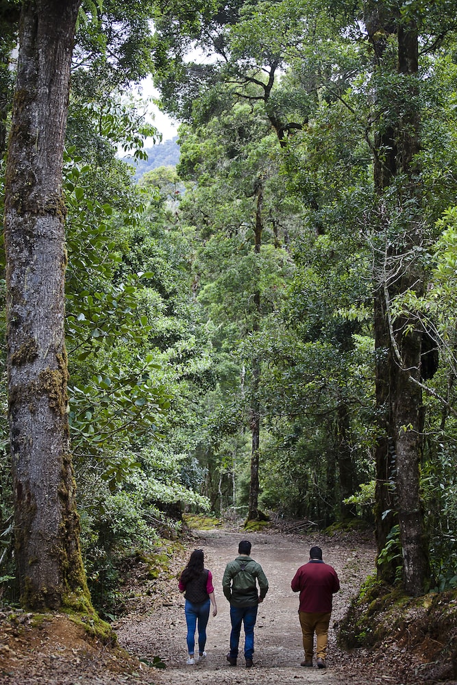 Savegre Hotel Natural Reserve And Spa 65/69