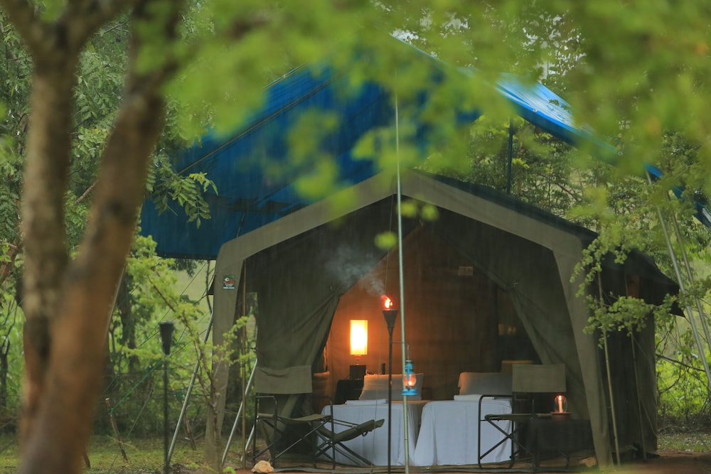 Big Game Camp Wilpattu 2/50