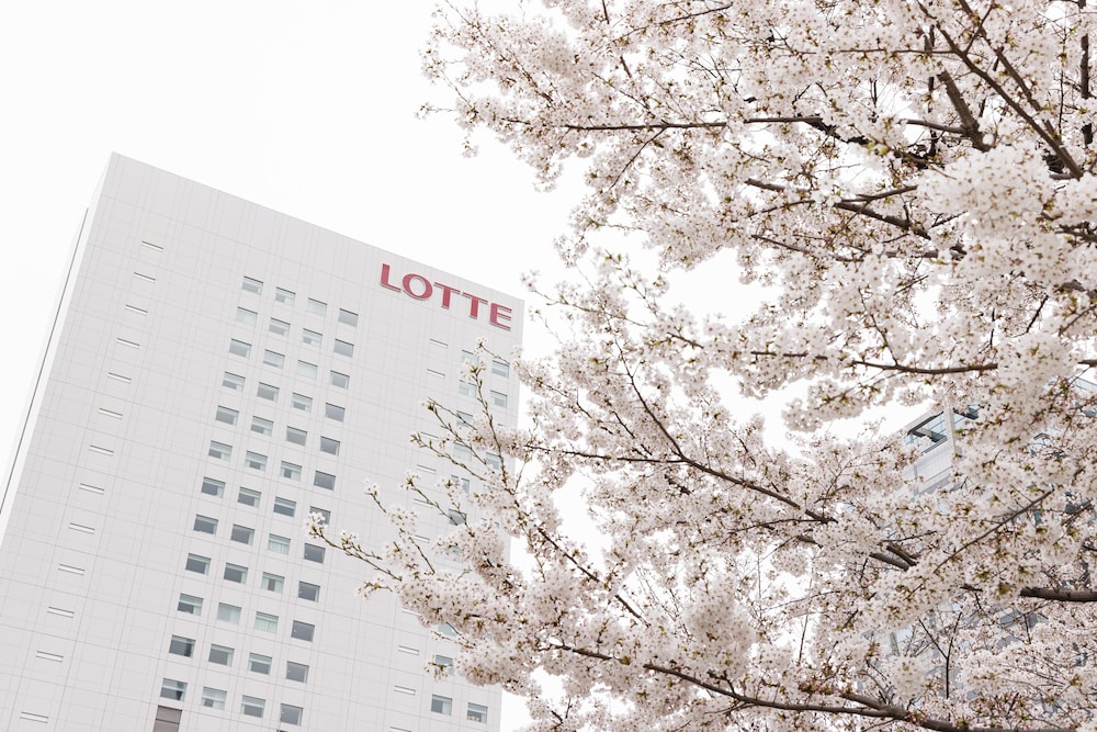 Lotte City Hotel Kinshicho 5/64