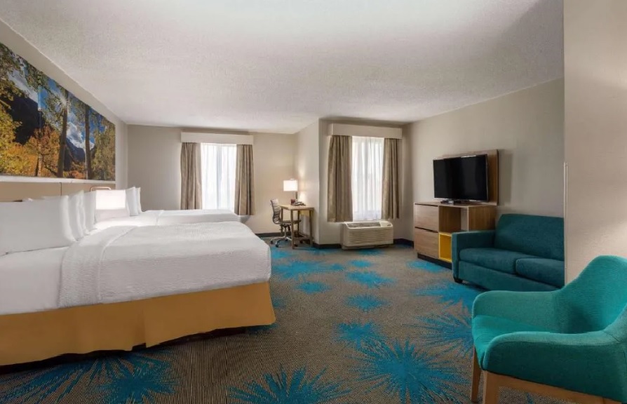 Studio, Suite, King Bed
