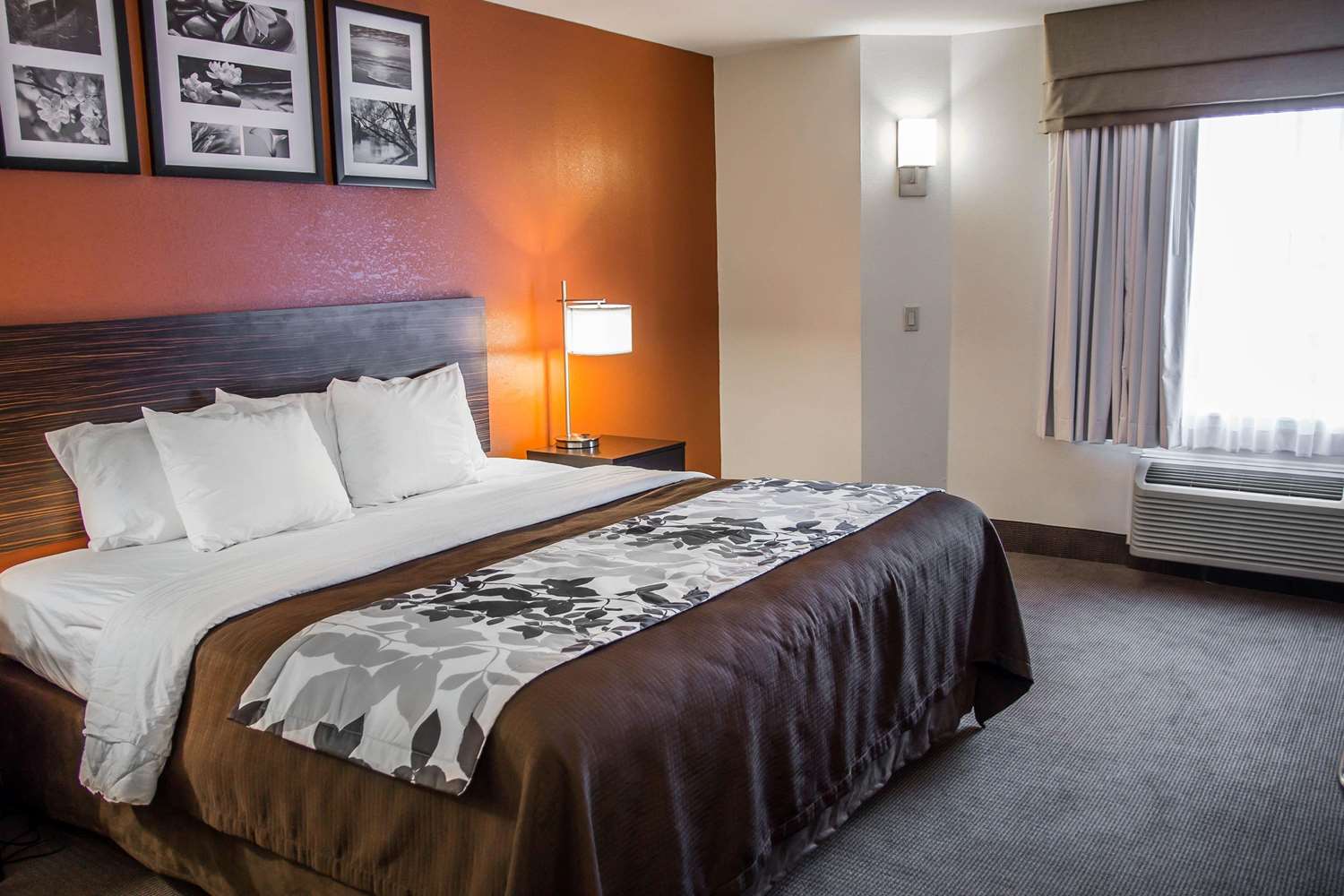Sleep Inn Beaufort near MCAS 11/28