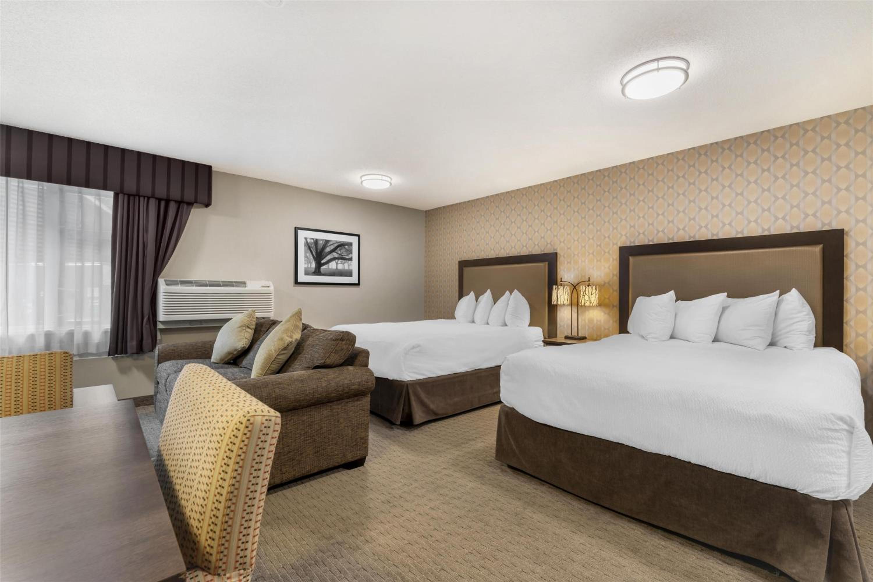 Family, Suite, Queen Bed, Sofa, Kitchenette