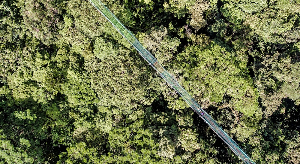 Hotel Ficus Monteverde 56/74