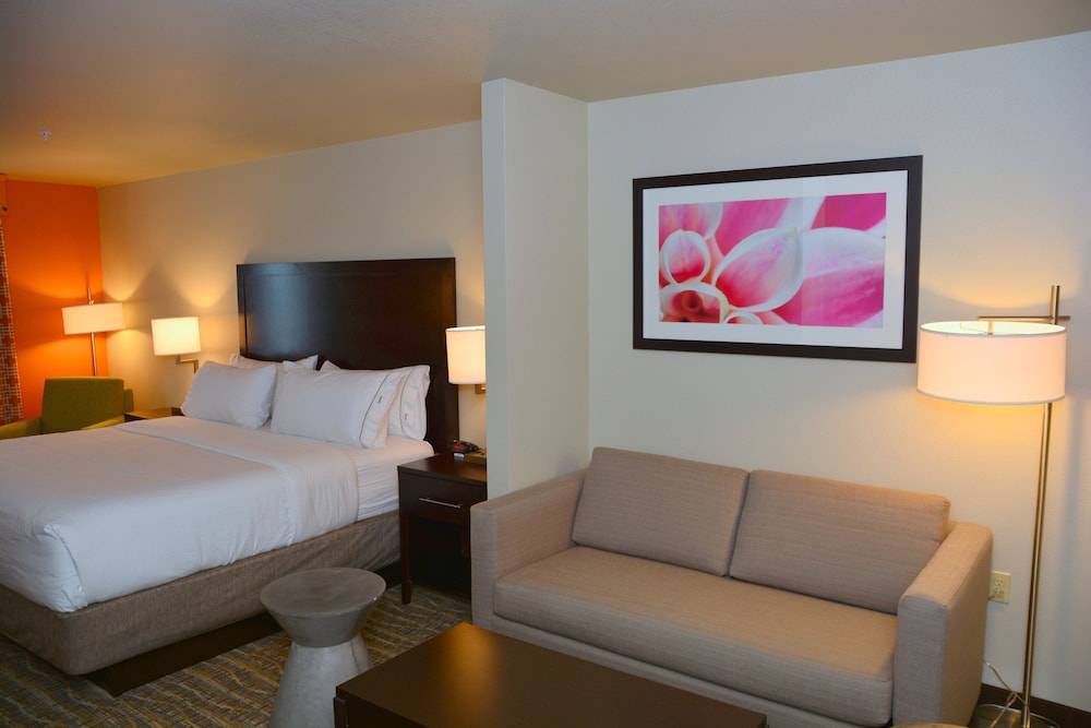 جناح بسرير كينج مع أريكة، Holiday Inn Express & Suites Houston Nw - Tomball Area 3/9
