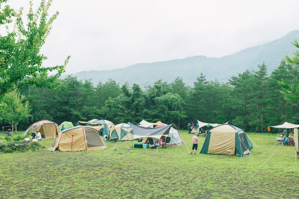 Pica Fujisaiko 8/20