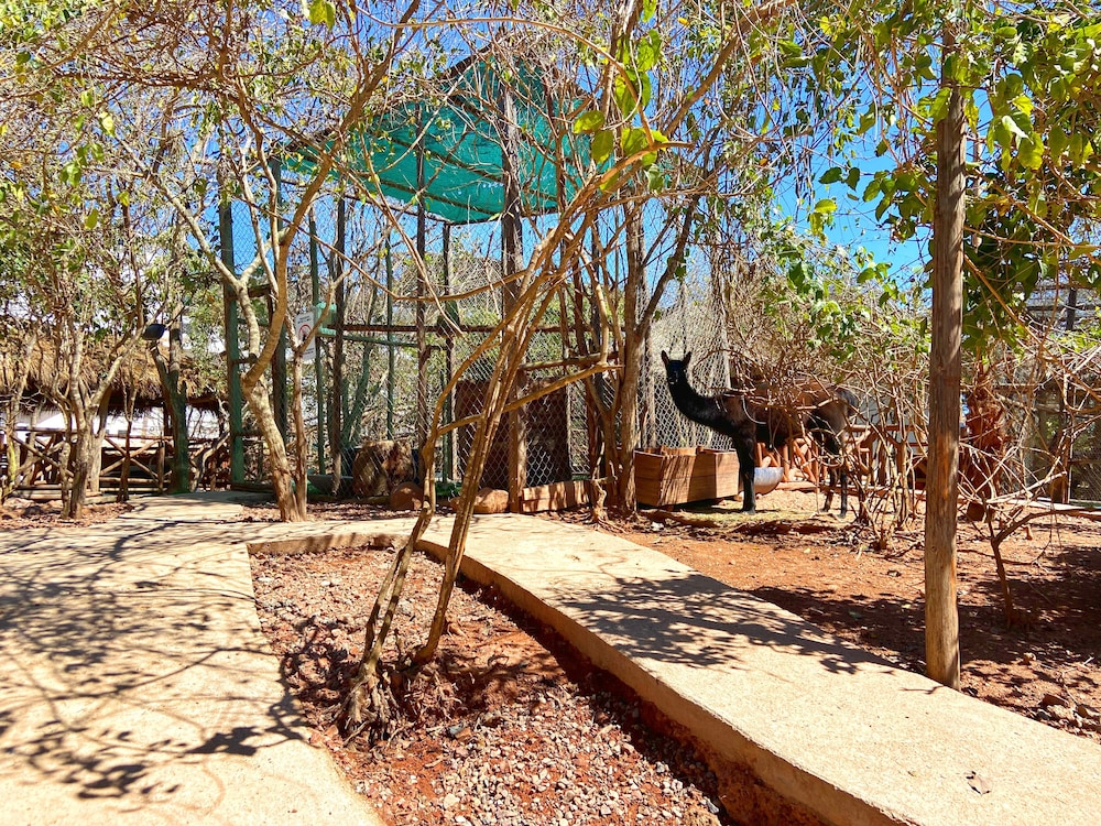 Palm Valley Cabins 38/50