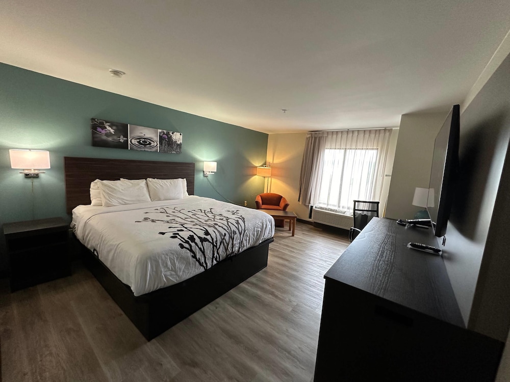 Sleep Inn & Suites Pineville - Alexandria 19/65