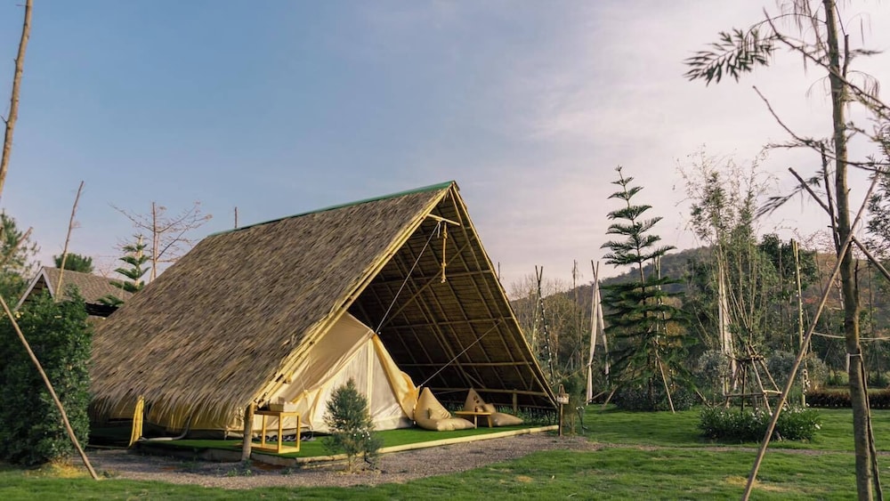 Yellowstone Camps Resort Khao Yai 8/68