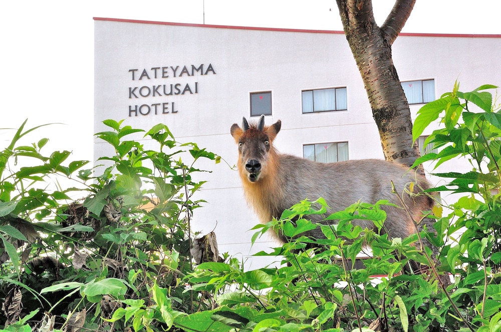 Tateyama Kokusai Hotel 59/61