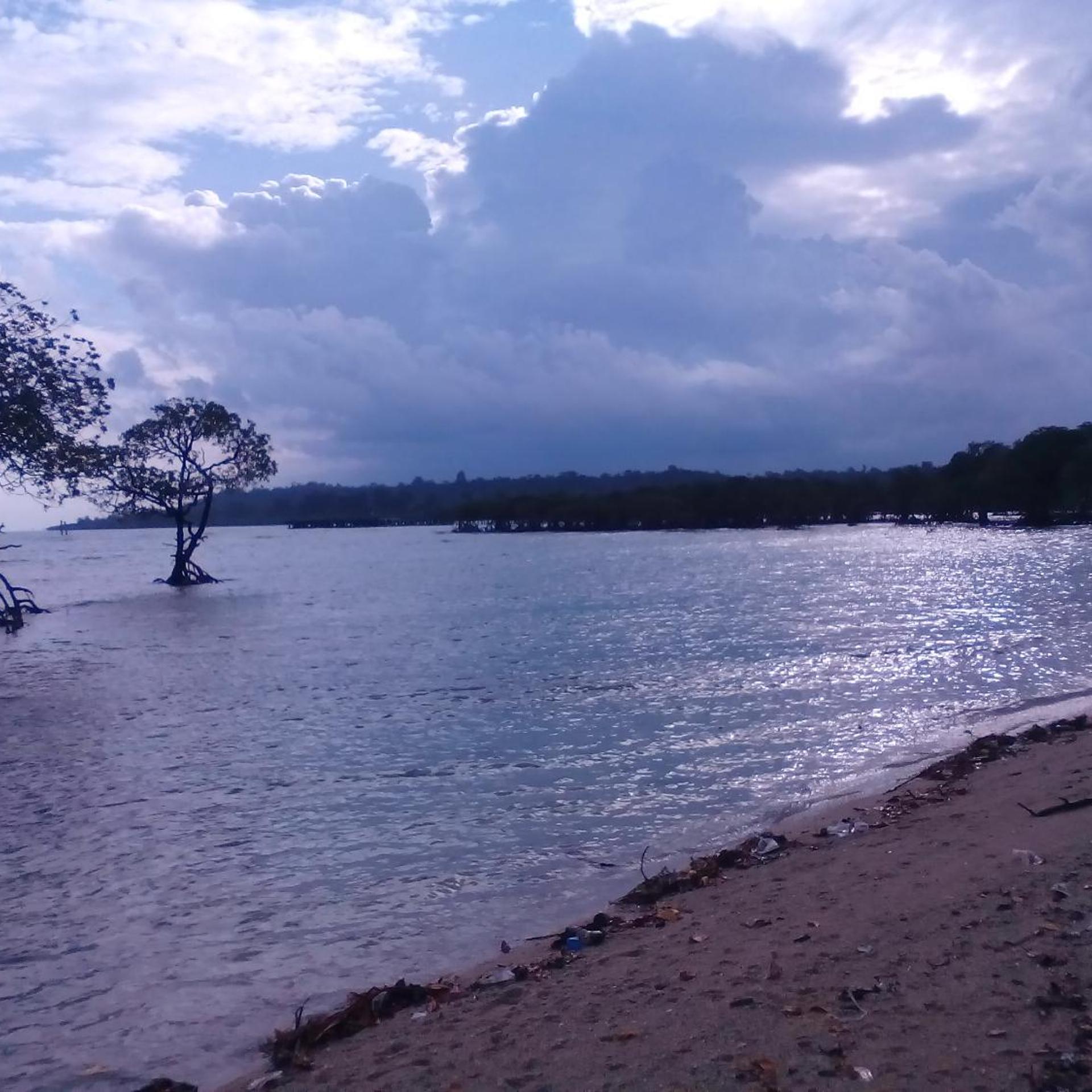 Coconhuts Beach Resort-Neil Island 32/49