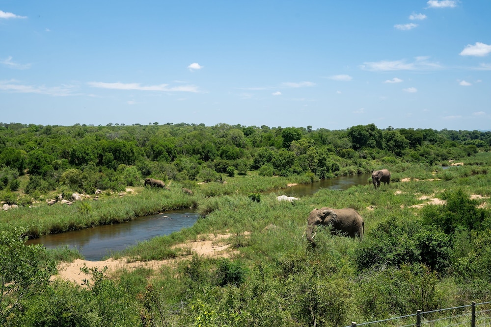 Leopard Sands Kruger Park 26/50