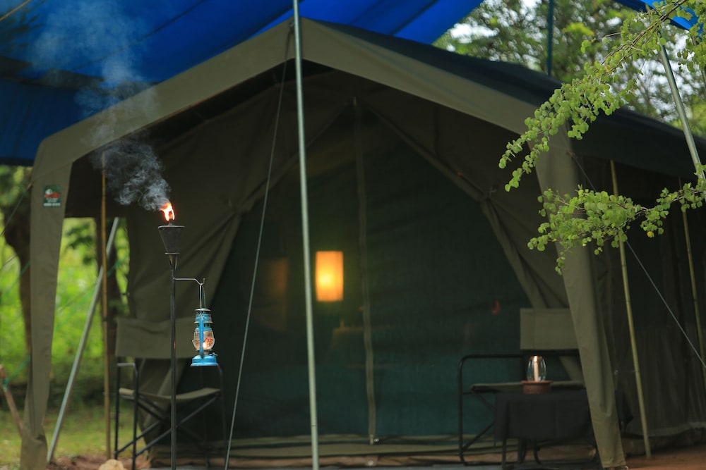 Big Game Camp Yala 1/50