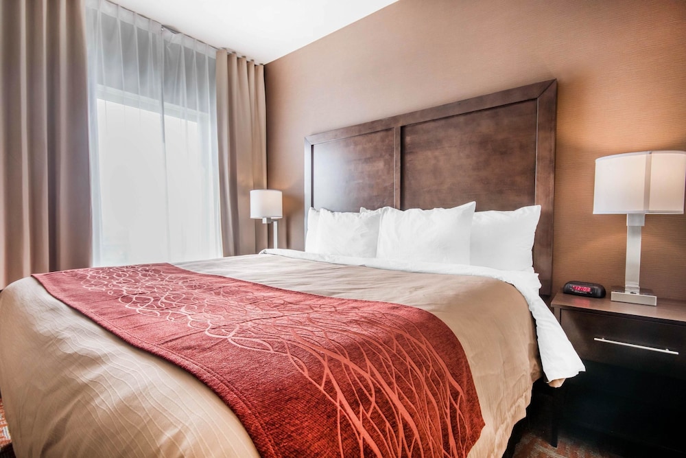 Comfort Inn & Suites Merritt BC 14/45