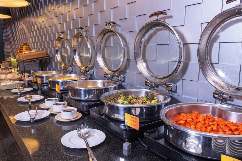 圣迭戈拉迪萨丽笙蓝标酒店(Wyndham Santiago Pettra) 图片4