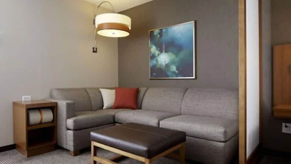 Hyatt Place Detroit/Novi 45/64