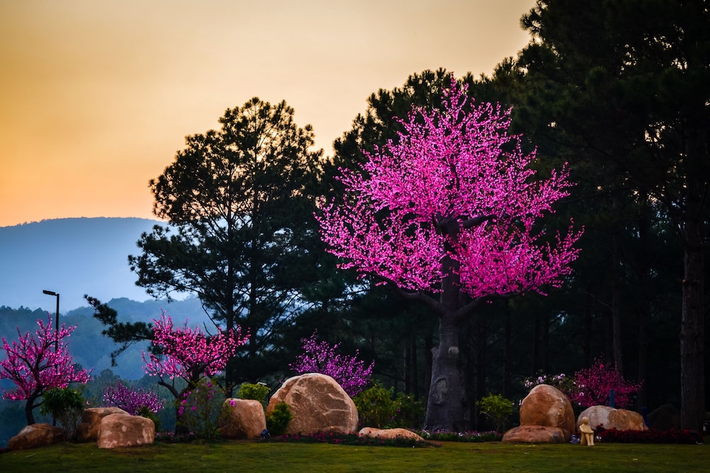 Terracotta Hotel Resort Dalat 48/50