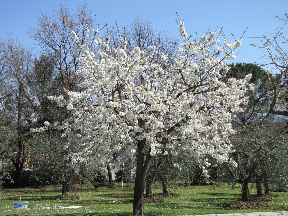 Casa Vacanze Poggio Delle Rose 32/50