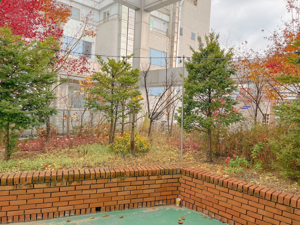 K-Guesthouse Myeongdong 2 45/55
