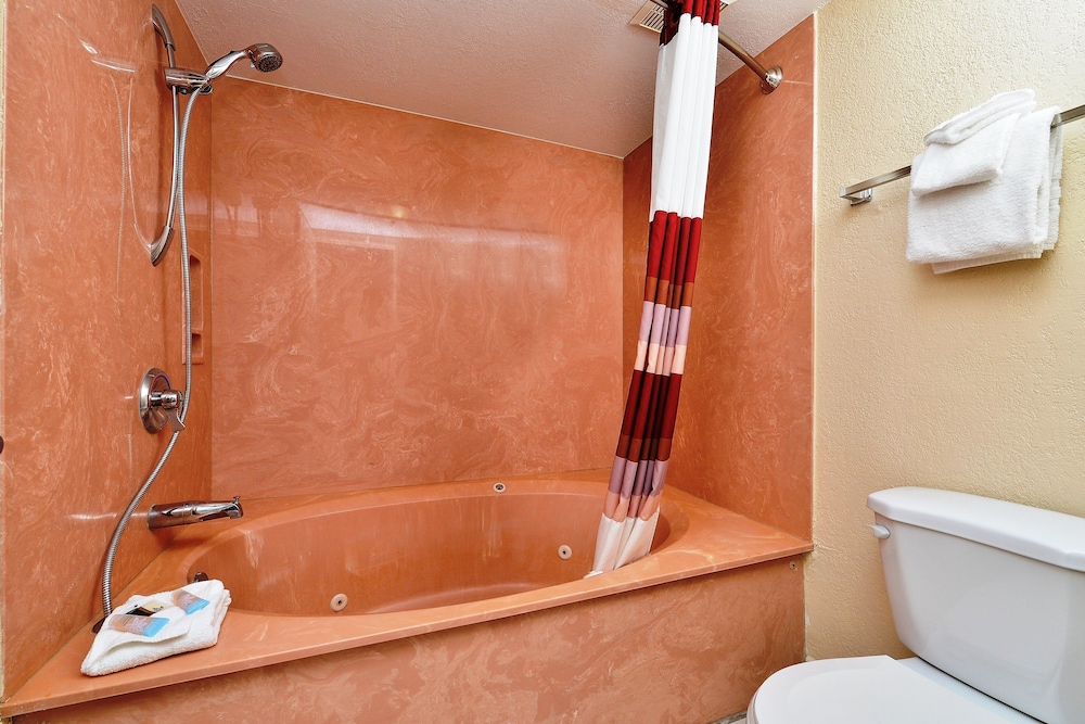 Red Roof Inn Orlando South-Florida Mall 23/34