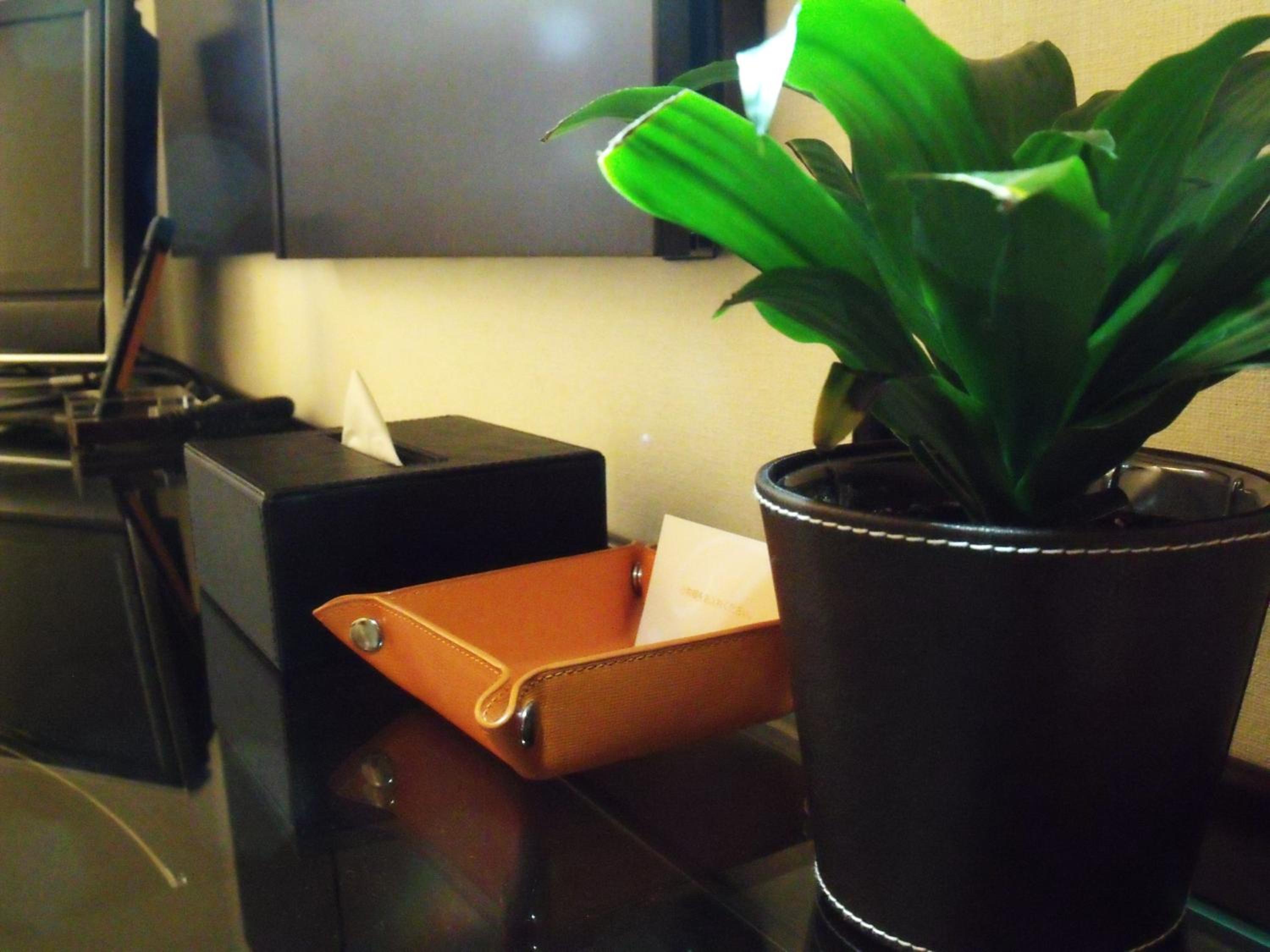 Hotel Tenjin Place 37/50