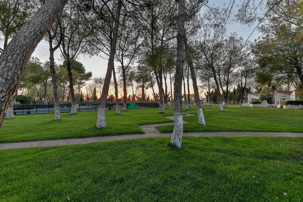 El Cruce 41/43