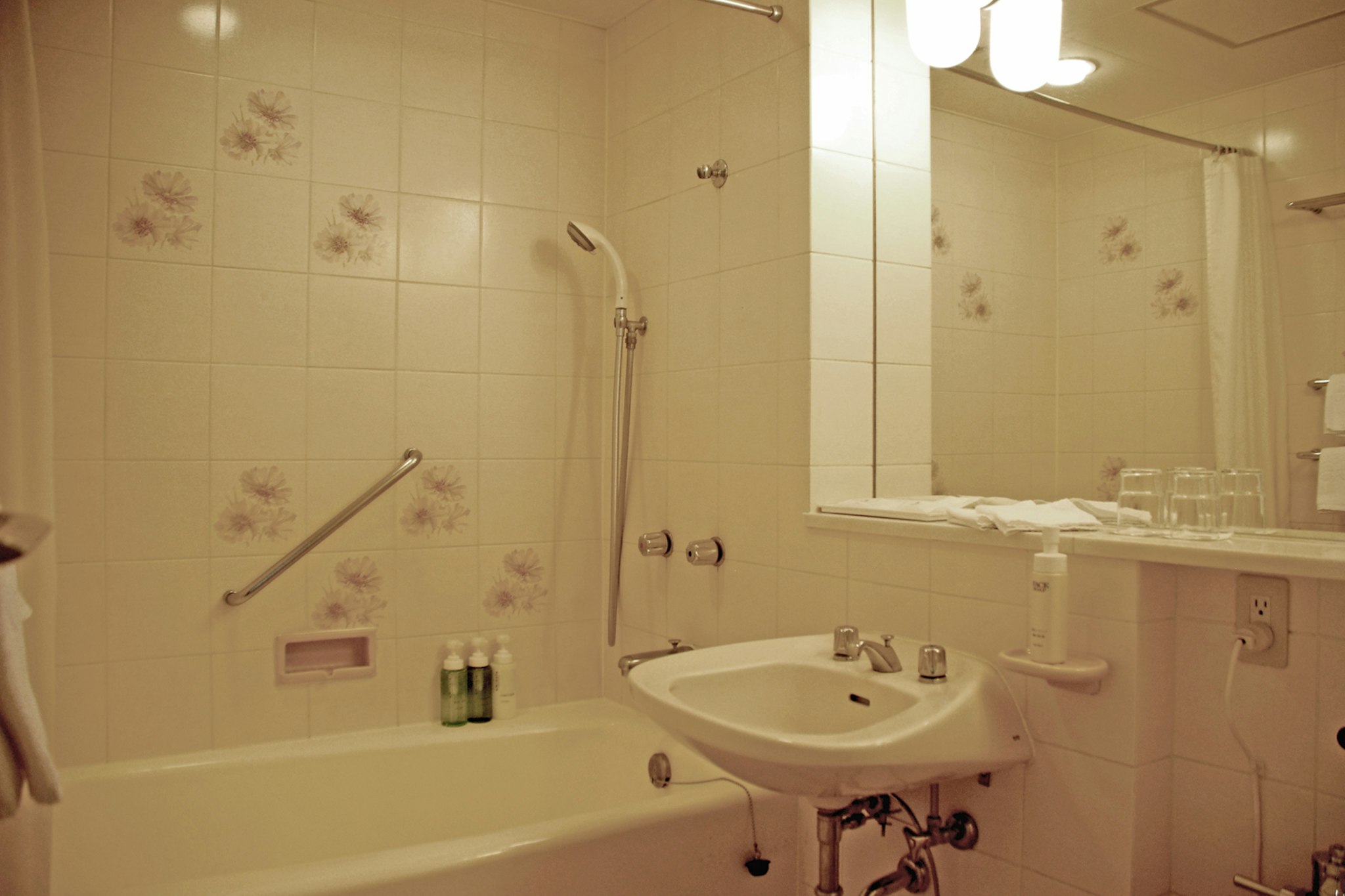 Hotel Nikko Narita 36/36