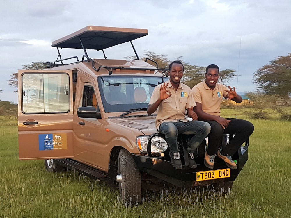 Africa Safari Camp 5/50