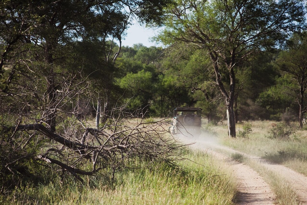 Rhino Walking Safaris 26/41