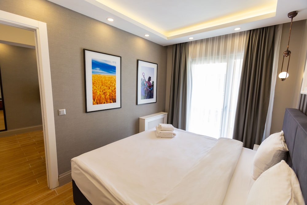 Alan Suites 15/50