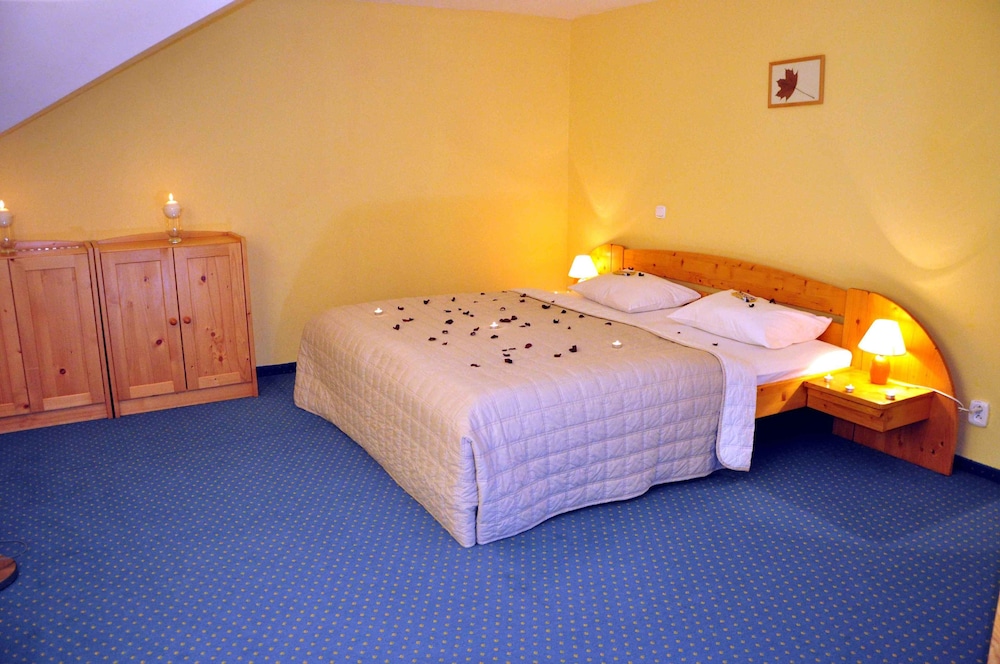 Hotel Villa Siesta 13/50